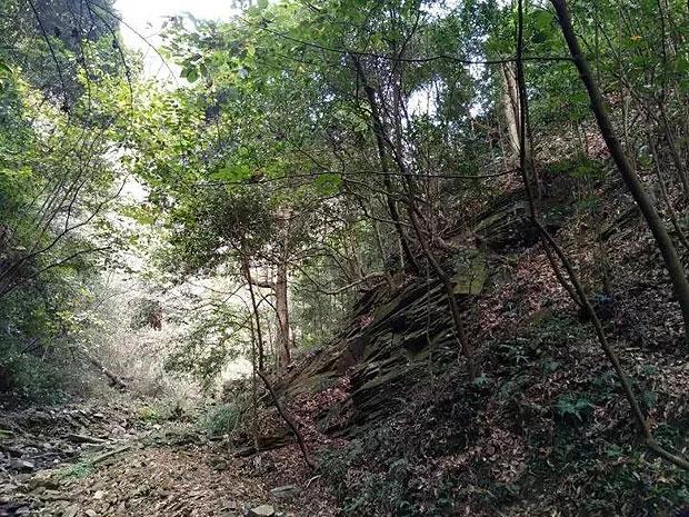 逃离别墅度假村