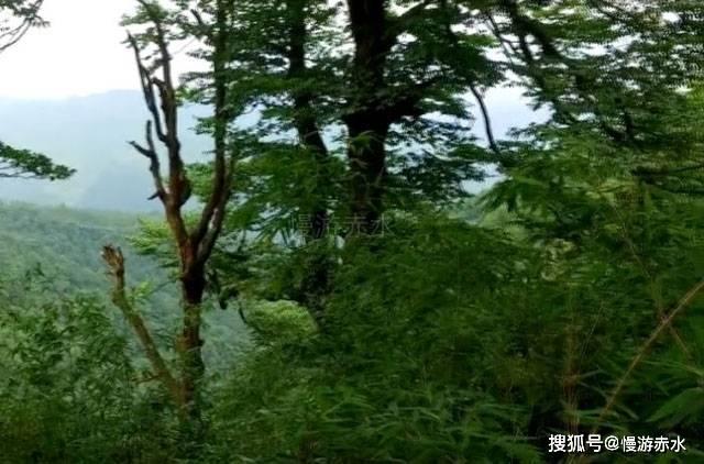 僵尸过人行道