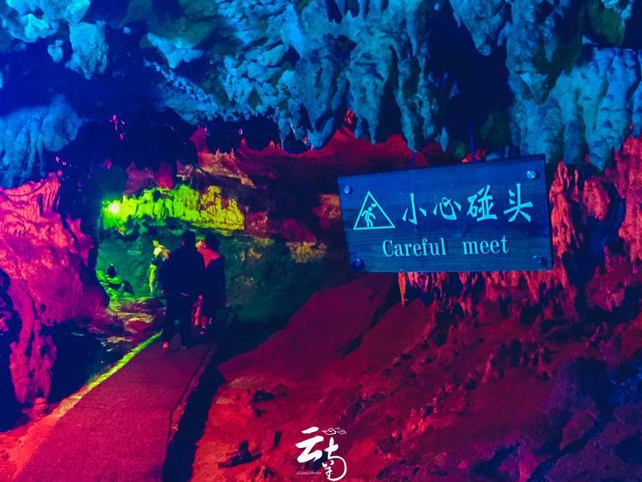 栀子落星海