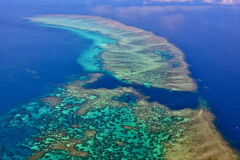 上海陆家嘴楼宇点亮“繁花锦绣、海上迎春”
