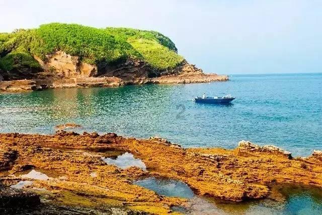 虫虫助手下载