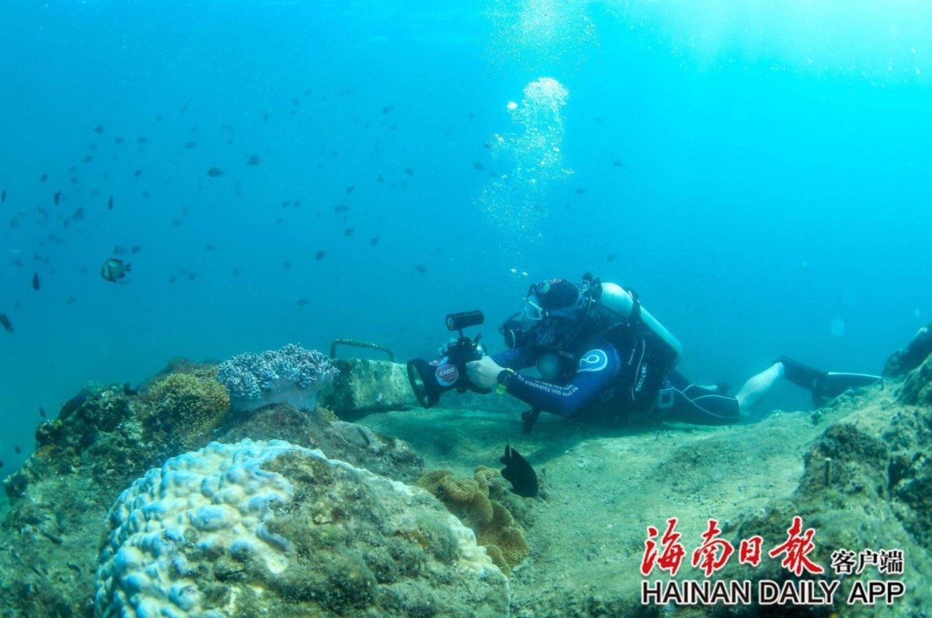 喝茶饮酒学问不小 可别“喝了个寂寞”