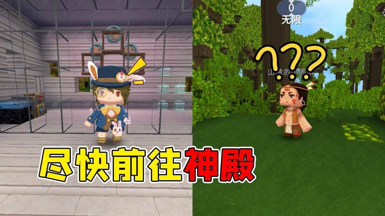 中国哪个动物园大熊猫最多?最新花名册来了