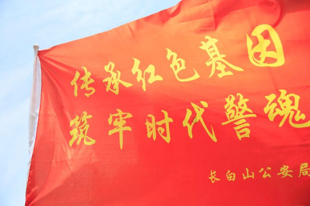 杭州一肿瘤晚期主人给猫咖留纸条托付爱猫，养宠物是为了有精神依靠吗？游戏画面