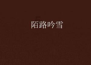 低压防雷箱综合选型应用方案
