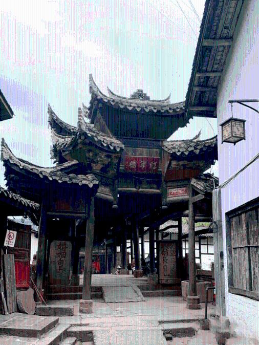 动物帮帮忙保卫家园