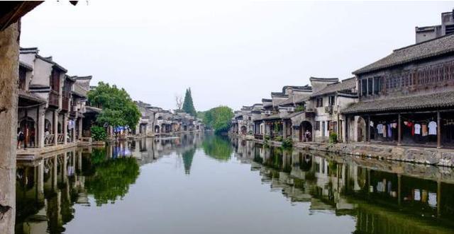 赤麻鸭现身青海门源县